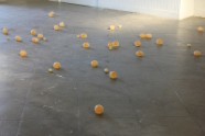 Les oeufs 2010 - Magali Babin